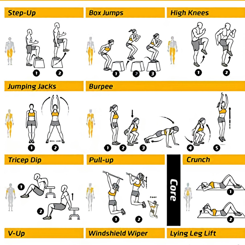 Workout Exercise Chart Posters - Sports Equipment Poster 评论和价格