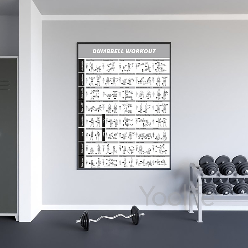 Workout Exercise Chart Posters - Sports Equipment Poster 评论和价格