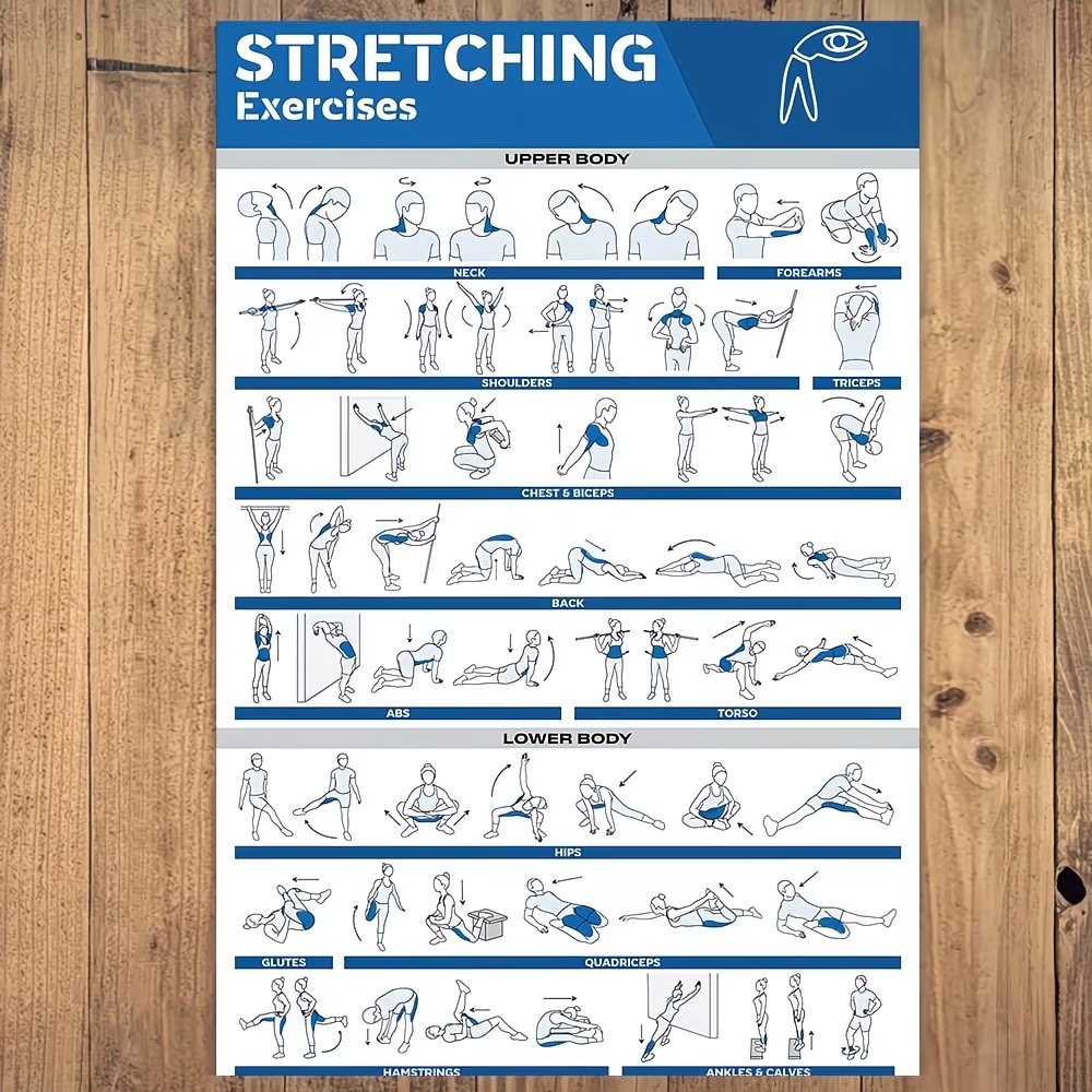 Modern Labeled Full-Body Stret - Sports Equipment Poster 评论和价格