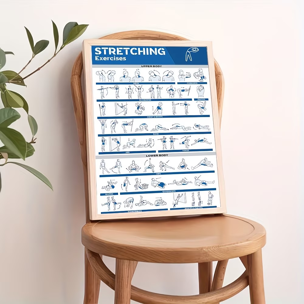 Modern Labeled Full-Body Stret - Sports Equipment Poster 评论和价格
